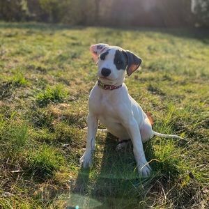 Meet your Posher, Adam